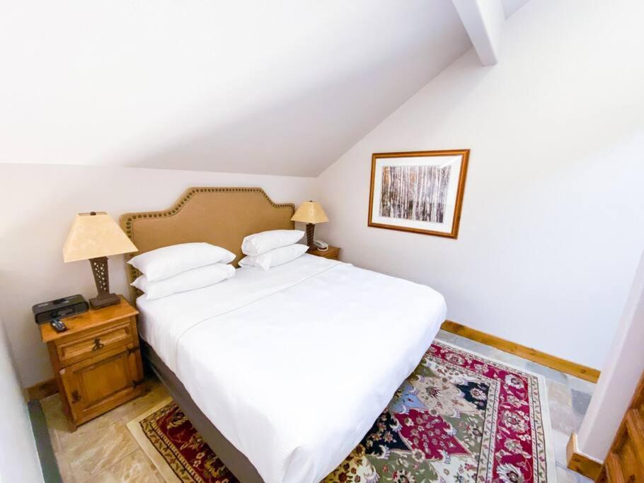 טלורייד 2 Bedroom Condominium - Luxury Skiin And Out מראה חיצוני תמונה